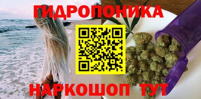 индика Назарово