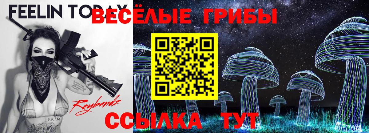 Псилоцибиновые грибы Psilocybe  Вход с VPN  Бор  Псилоцибиновые грибы GOLDEN TEACHER 